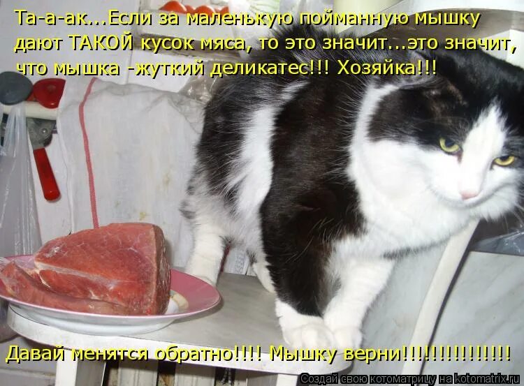 Принесите мясо тут голодные собаки текст песни. Кусок мяса картинка прикольная.