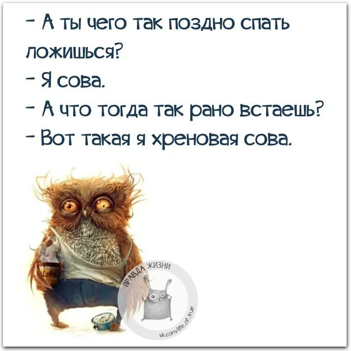 Песня сова хочешь дружить я с радостью. Ложусь поздно встаю рано. Кто поздно ложится тот Сова. Шутки про тех кто рано встает. Кто рано ложится и рано встает.