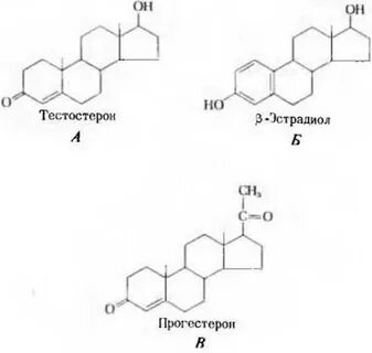 Эстрадиол и тестостерон