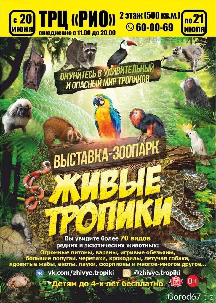 Выставка зоопарк животных. Выставка живые тропики. выставка животных. зоопарк живые тропики. выставка животных афиша.