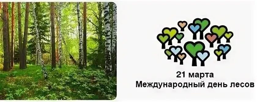 Международный день лесов" 2022, Любимский район - дата и место проведения, прогр