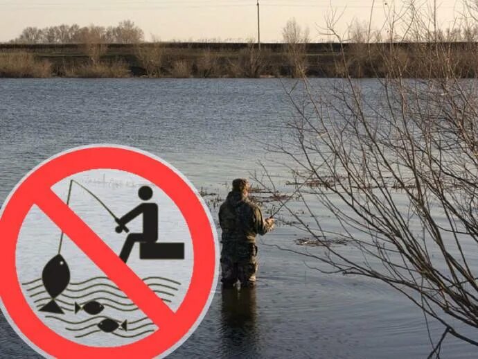 Нерестовый запрет 2024 году в саратовской области. Запрет на рыбалку. Ловля рыбы запрещена. Нерест запрет. Рыбалка в нерестовый запрет.