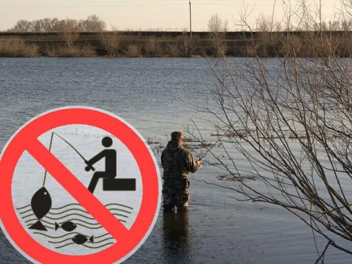 Можно ли ловить фидером в нерестовый запрет. Запрет на рыбалку. ловля рыбы запрещена. нерест запрет. рыбалка в нерестовый запрет.