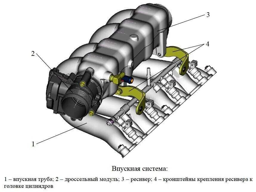 Двигатель впуска воздуха. Схема система впуска воздуха двигателя. Газель 405 система впускного коллектора. Газель впускная система. Впускной коллектор 405 устройство.