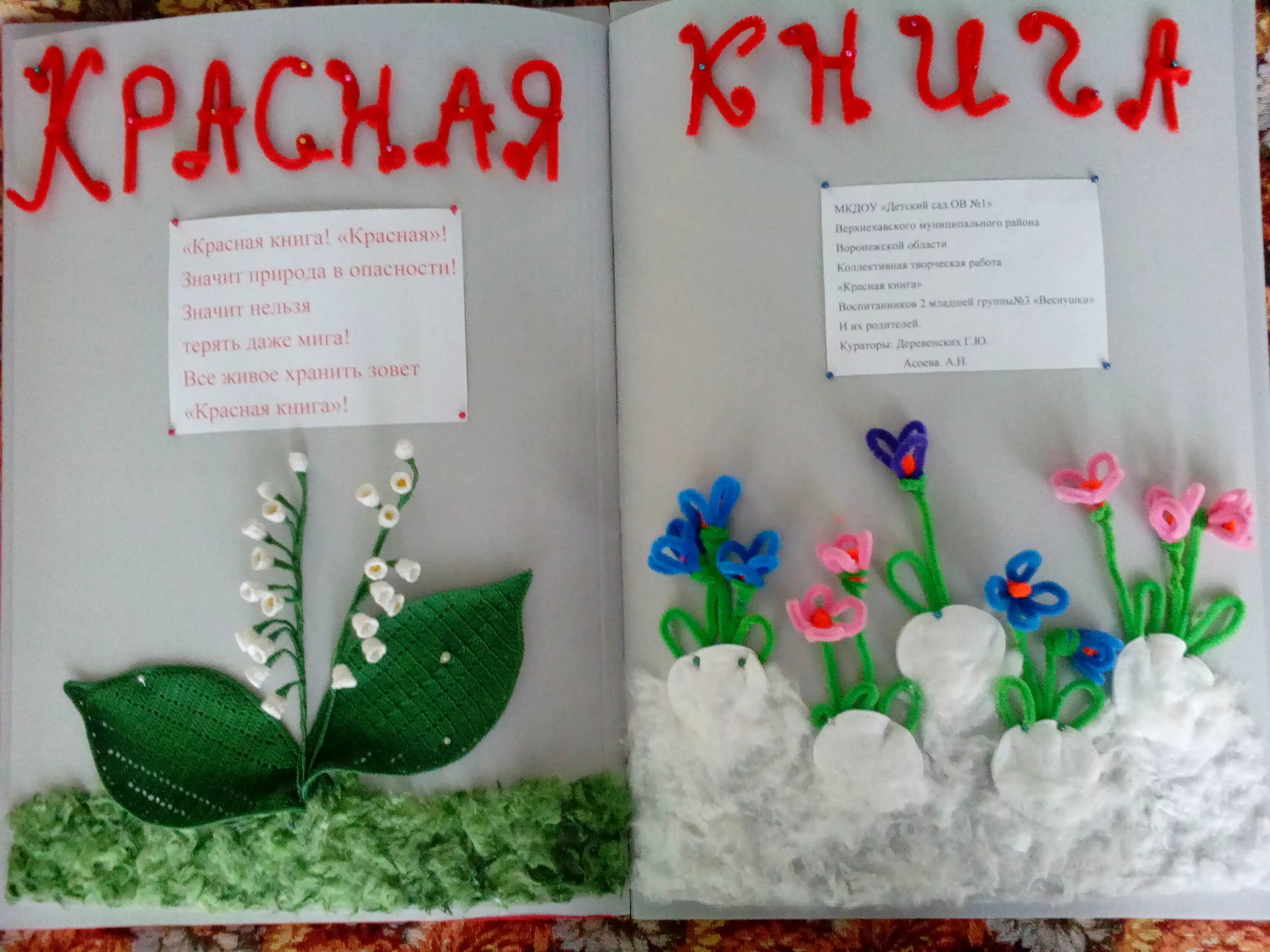 Конкурс книга класса. Красная книга поделка 2 класс. Красный конкурс.