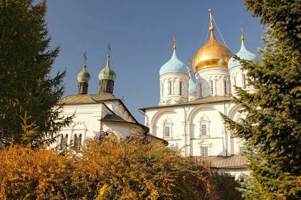 Новоспасский ставропигиальный монастырь. Новоспасский мужской монастырь. Новоспасский монастырь храм.