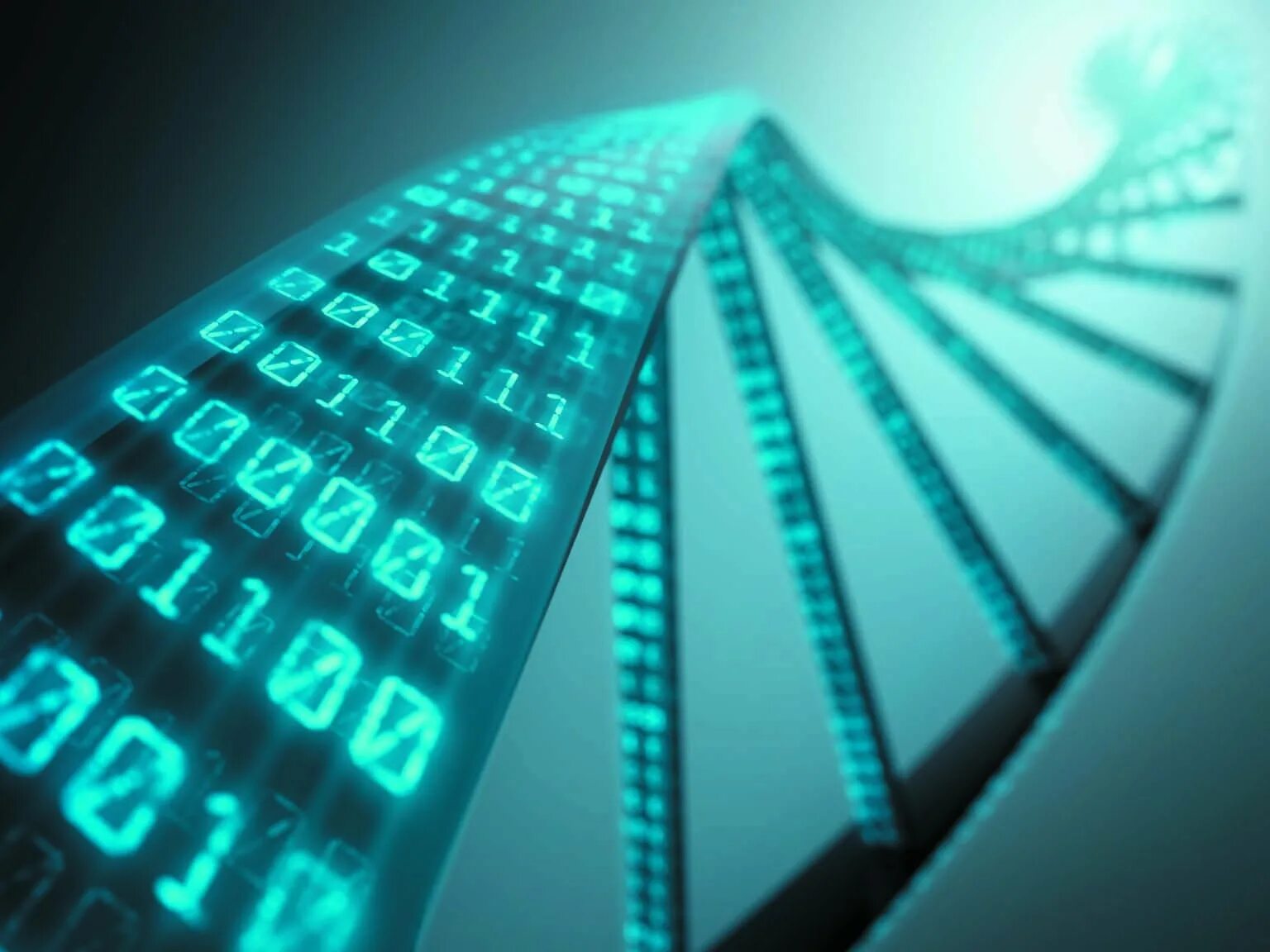 Генетика программирование. Цифровое ДНК. ДНК компьютер. Программирование ДНК. Двоичные данные картинки