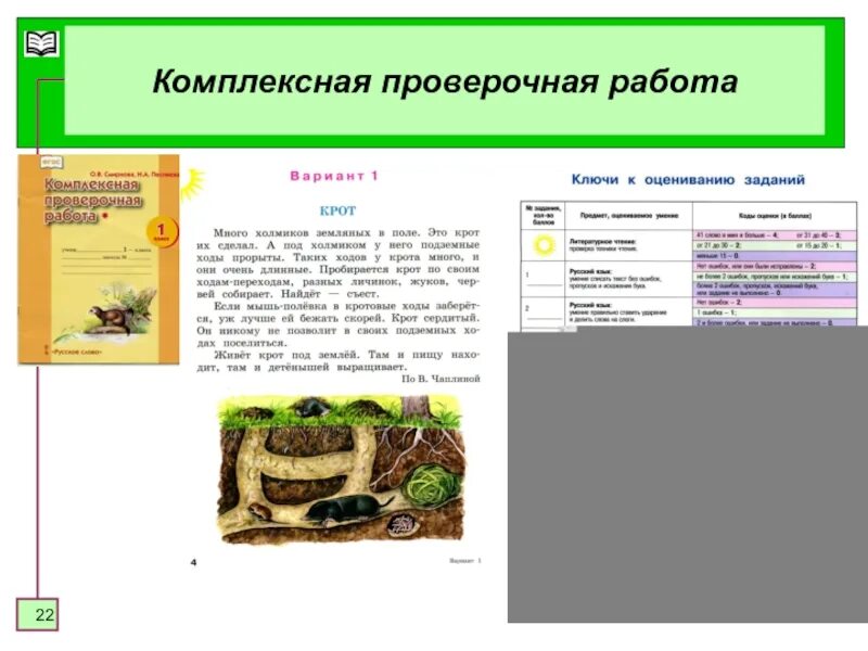 Что такое комплексная работа. О комплексных интегрированных работах. Комплексная работа. Комплексная контрольная работа. Комплексные проверочные работы.