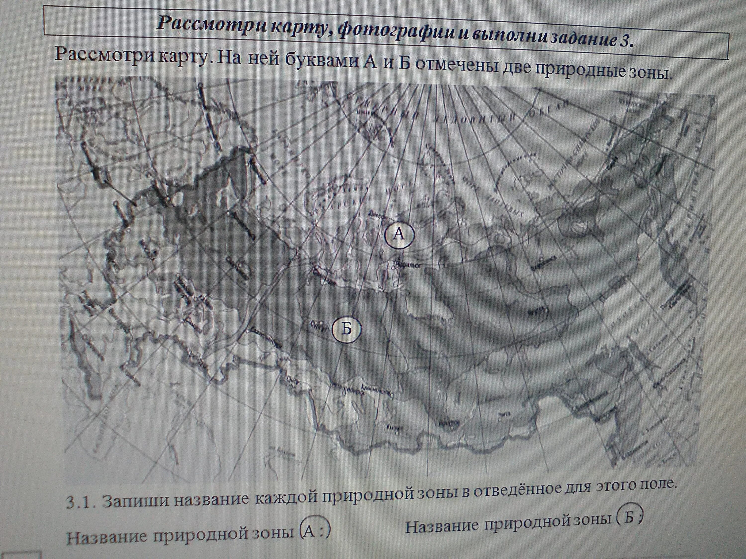 Природные зоны четвертый класс впр