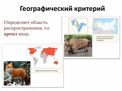 Определить распространение