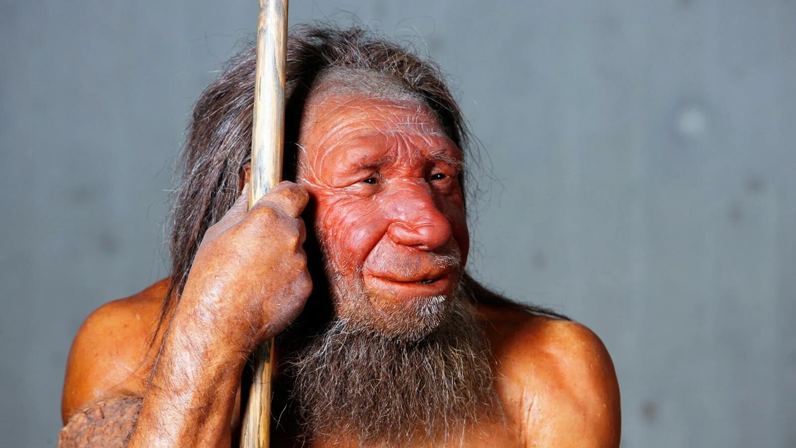 Гомосапиенс сапиенс хомо. Неандерталец и хомо сапиенс. Гомосапиенс википедия. Гомосапиенс человек разумный. Homo sapiens sapiens кроманьонец.