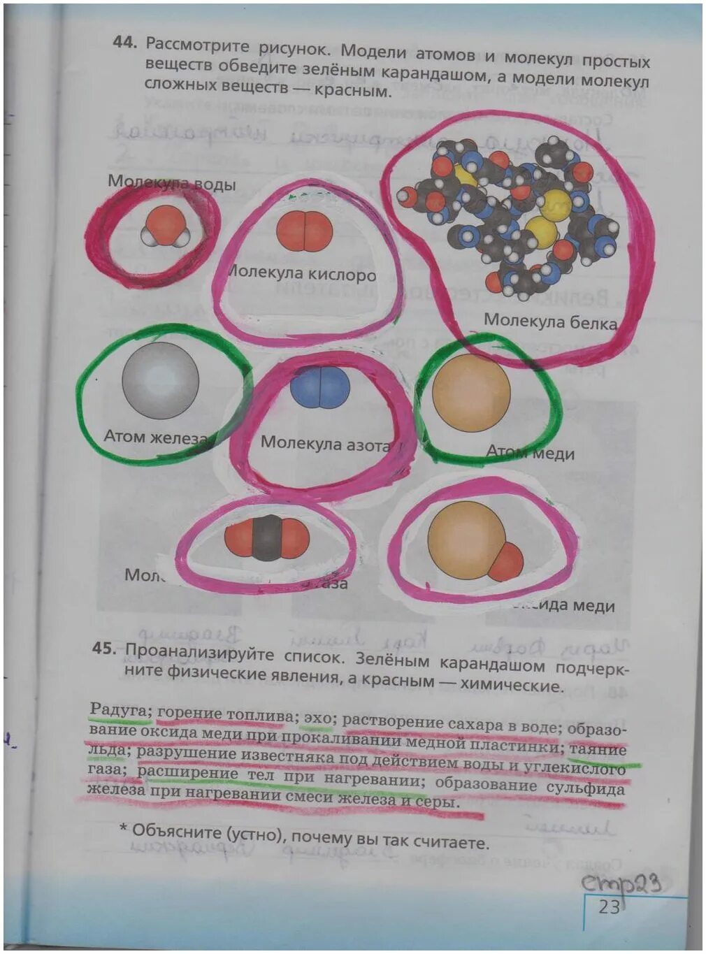 Биология 5 класс рабочая тетрадь стр 23 Сонин. Биология 5 класс рабочая тетрадь страница 23. По биологии 5 класса стр 23 рабочая тетрадь. Биология 5 класс учебник стр 143