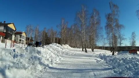 Буревестник томск