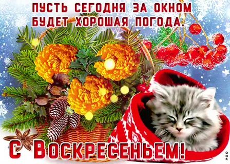Доброе утро последнее воскресенье декабря