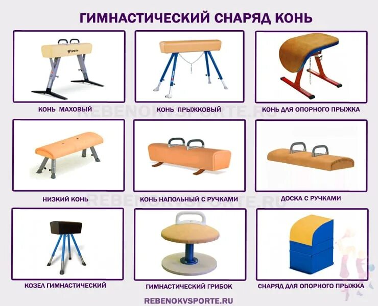 Как называется гимнастический козел