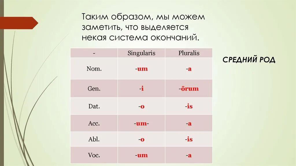 Склонения существительных в латинском языке таблица Латинский типы склонений