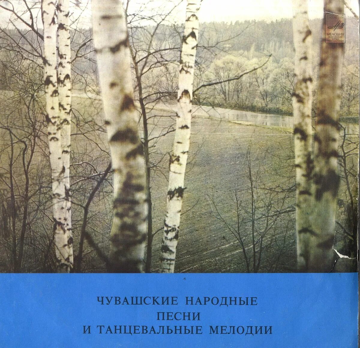 Шумите березы на белорусском. Шумите березы Сябры. Ансамбль Сябры "шумите берёзы". Сябры шумите березы пластинка. Березы шумят.