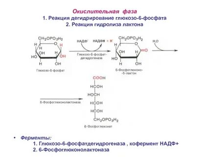 Происходит окисление надф