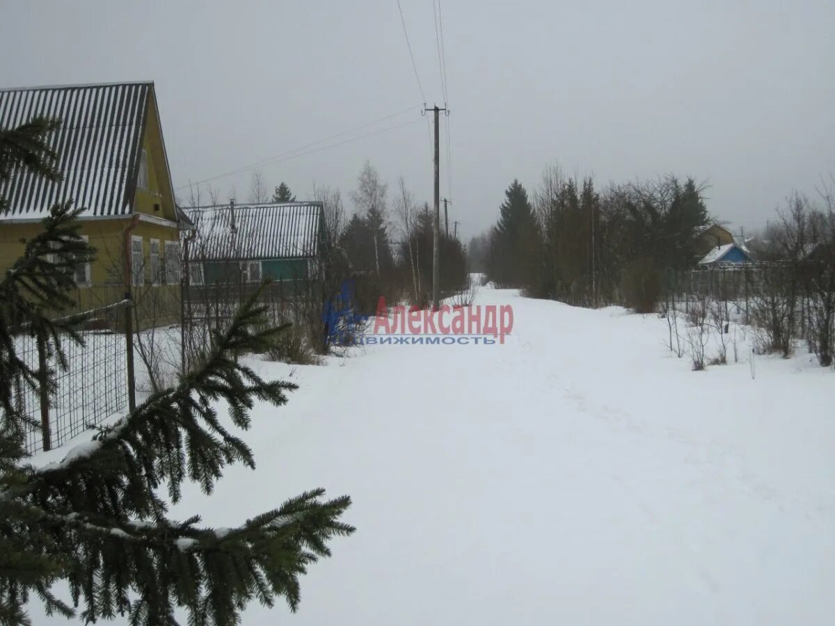 Погода посадников остров киришский точный прогноз. 55 км посадников остров. снт анкер массив посадников остров. карьер посадников остров на 55 км.