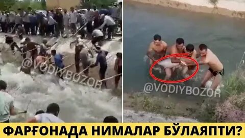 Турфа олам