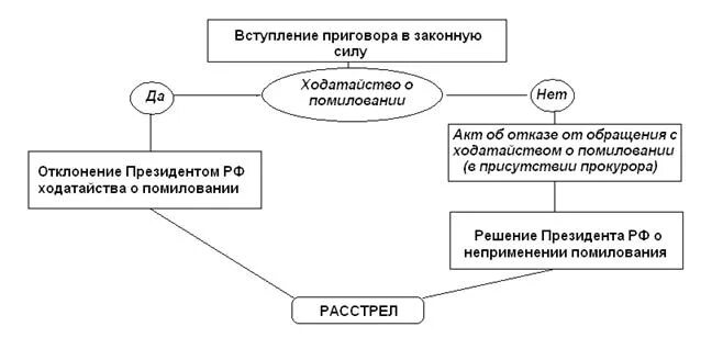 Сроки вступления решения в законную силу. Вступление в законную приговора. срок вступления приговора в законную силу.
