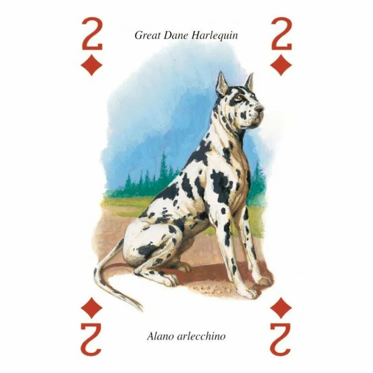 значение карт собака