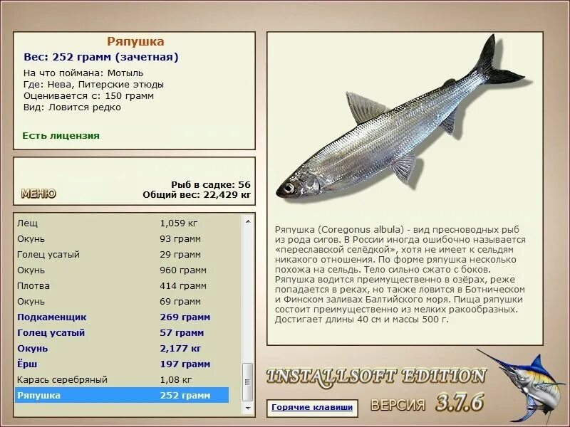 ряпушка реальная рыбалка