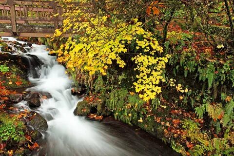 Fall well