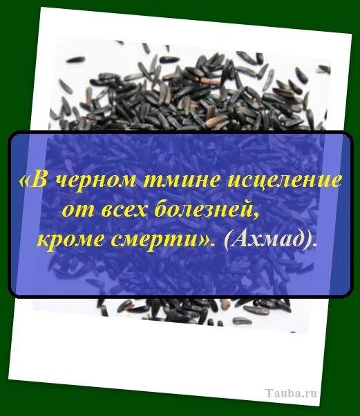 Вред черного тмина для мужчин. Черный тмин. Семена черного тмина. Хадис про черный тмин.