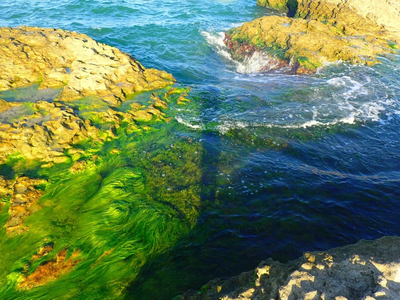 Каспий азербайджан. Каспийское море полуостров Апшерон. Апшерон Баку остров. Апшерон, Баку, Каспийское море, Азербайджан. Апшеронский полуостров пляжи.