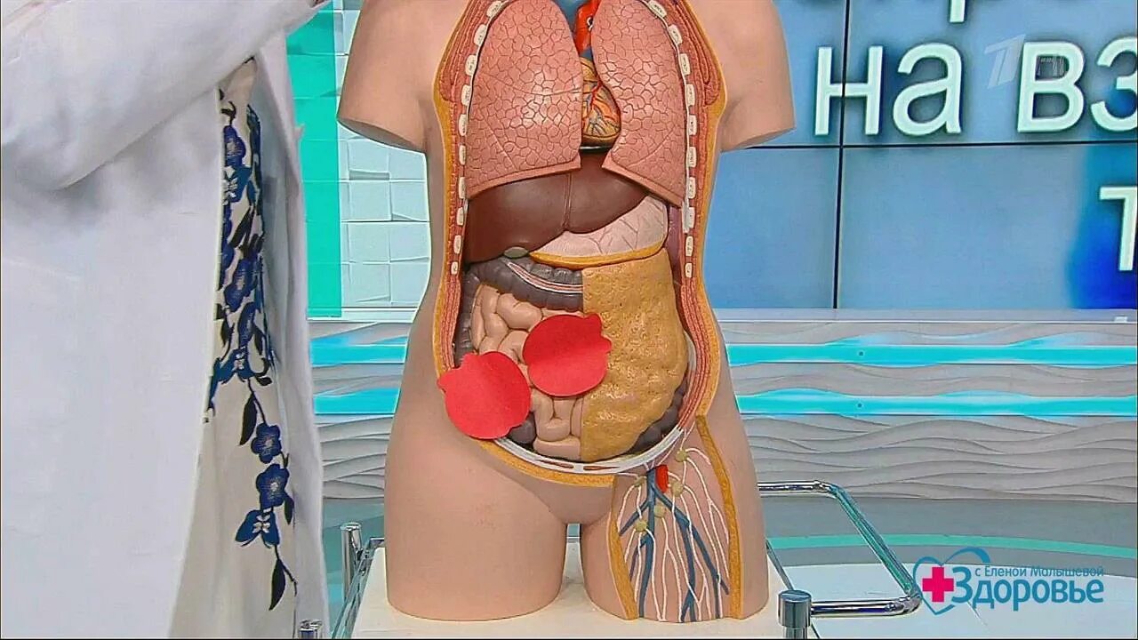 Как уменьшить боль при месячных. Боли при месячных. если в месячные болит живот. боль в животе от месячных. живот при болезненных месячных.