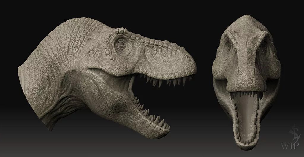 Динозавр форма. Тираннозавр рекс спереди. Тираннозавр рекс референс. Тираннозавр анфас. Динозавр Тирекс сбоку.