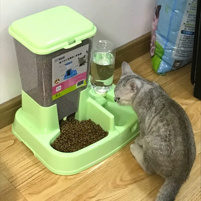 Купить автоматическую кормушку для кошек. Pet Feeder кормушка. Автопоилка автокормушка котам. Кормушка для кошек с дозатором. Кормушка для кошек автоматическая с дозатором.