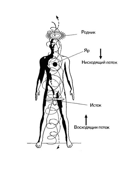 Нисходящий значение слова. Центральные энергетические каналы восходящий и нисходящий. Восходящий и нисходящий потоки энергии. Восходящий и нисходящий потоки энергии в теле человека. Человек в потоке энергии.
