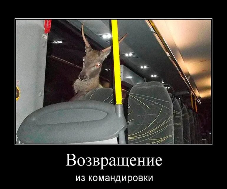 Ты все равно уезжаешь в командировку