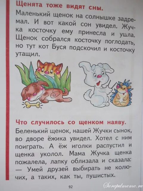 Букварь ц. +щ в букваре. букварь буква щ. букварь жуковой щ. букварь жуковой буква ц.