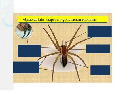 Орыс порно онлайн