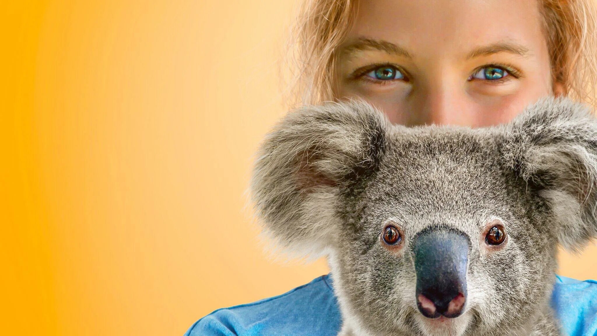 Коала и змея. Izzy Koala World. Алекс коал актриса. Dumb Koala.