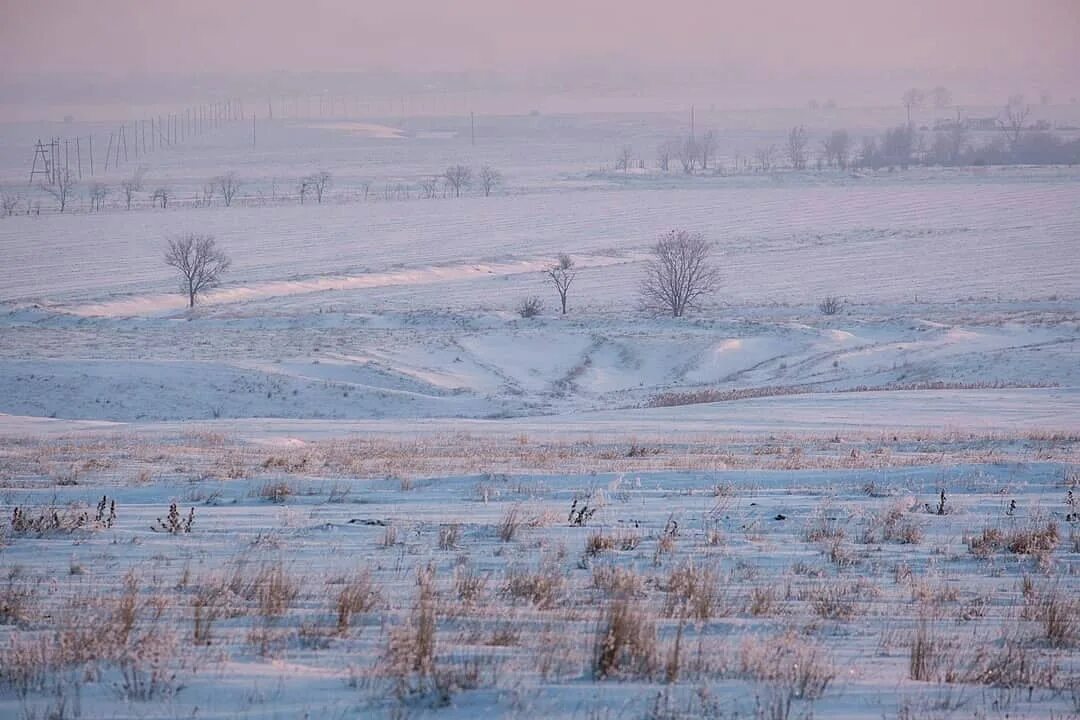 Село заветное Ростовская область. Заветное Ростовская область природа. Заветное Ростовская область степи. Природа Заветинского района Ростовской области. Погода в заветном ростовской области на 14