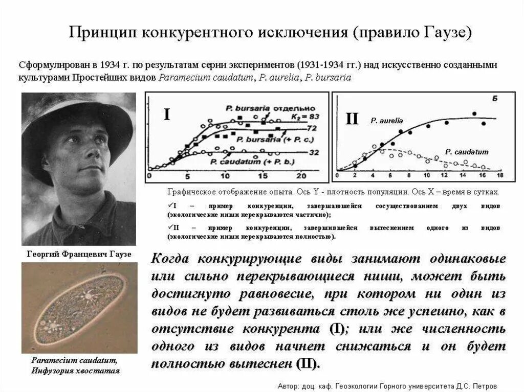 Г Ф Гаузе опыт с инфузориями. Эксперимент . Г. Ф. Гаузе. Правило конкурентного исключения Гаузе. Принцип конкурентного исключения Гаузе. Принцип конкурентного исключения