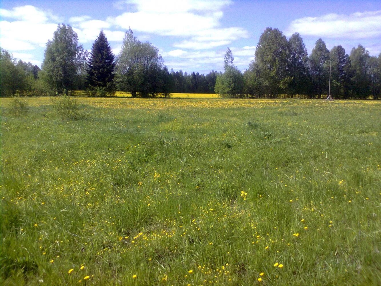деревня воробьёвица костромская область. поселок воробьевица вохомского района костромской области. воробьевица костромская. поселок воробьевица вохомского района костромской области. деревня воробьёвица костромская область.