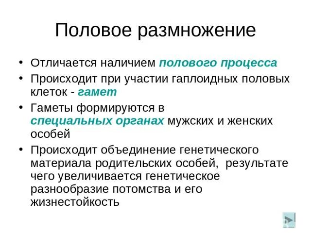 Почему при половом размножении потомства. Что происходит при половом размножении. Суть полового размножения. Значение полового размножения. Этапы полового размножения.