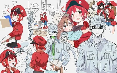 Working cells