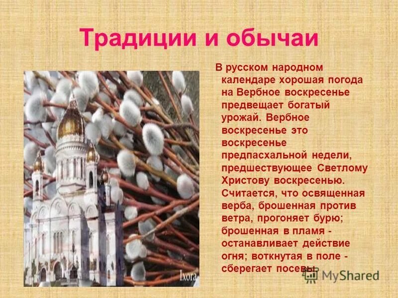 Культура русского народа 3 класс. Вербное воскресенье традиции и обряды. Вербное воскресенье традиции и обычаи. Вербное воскресенье традиции и обычаи и обряды. Традиции на Вербное воскресенье в России.