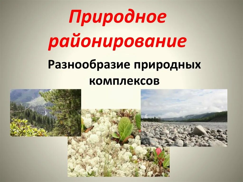 Природное районирование тест. Природное районирование России. Природное разнообразие. Разнообразие природных комплексов. Природное районирование презентация.