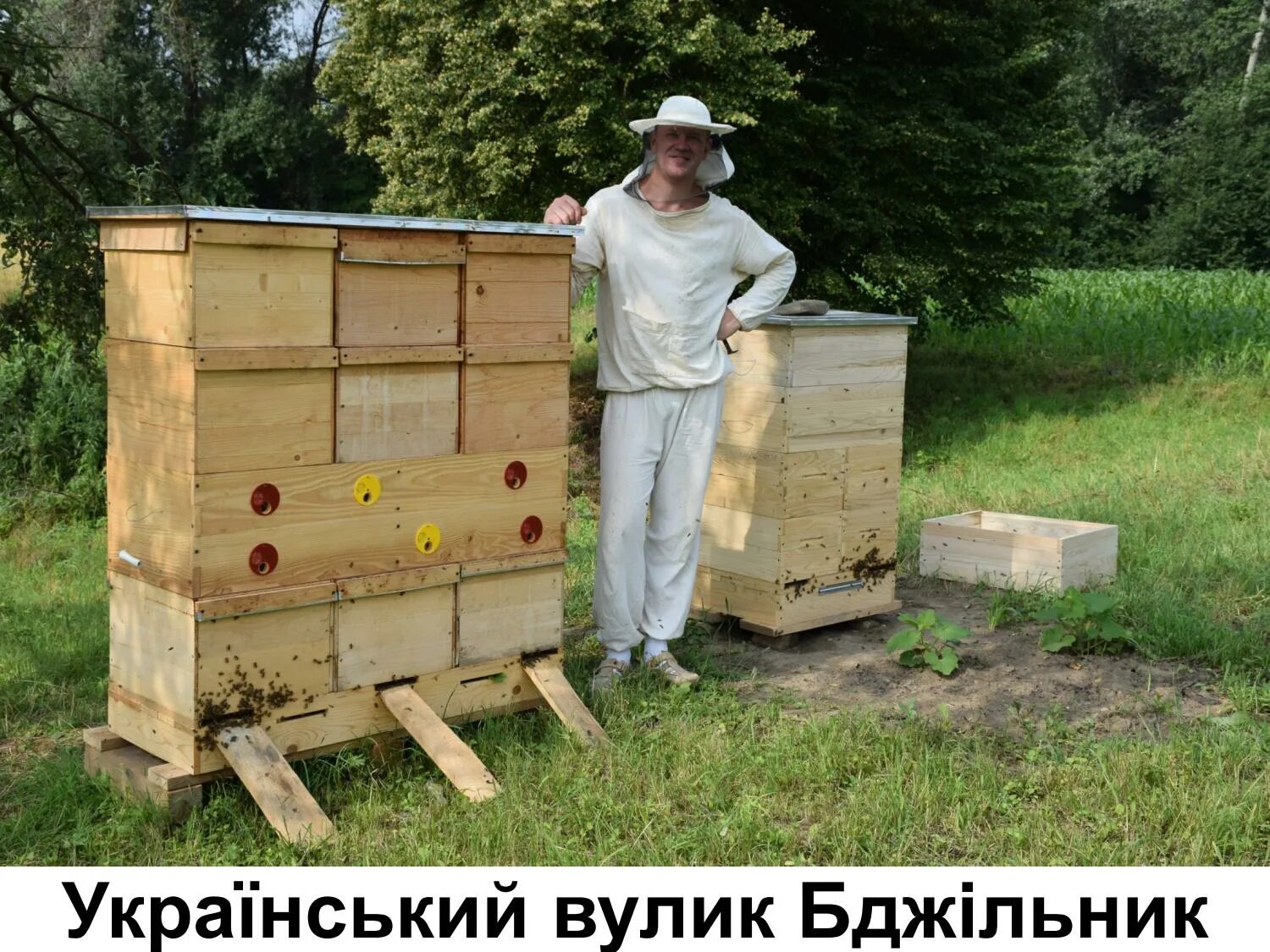 Валей улей. Улей варрэ. улей михайлицина. улей семененко. современные ульи.