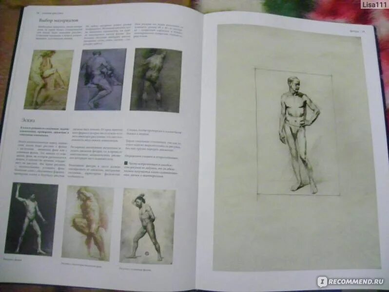 Голова человека. Основы рисунка читать. Николай ли рисунок основы учебного академического рисунка. Николай ильин основы академического рисунка. Основы рисунка читать.