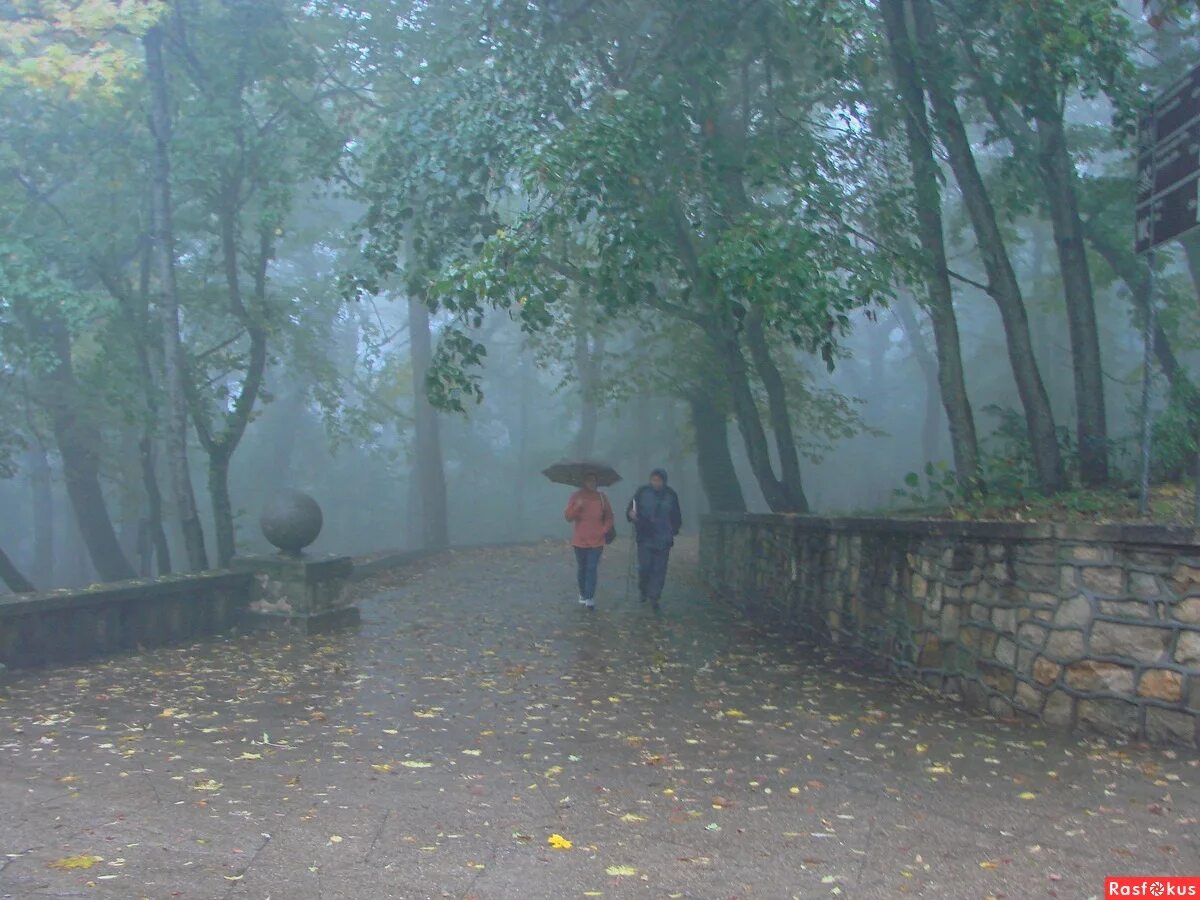дождик моросит. унылый дождик. моросящие осадки. моросящий дождь. дождик моросит.