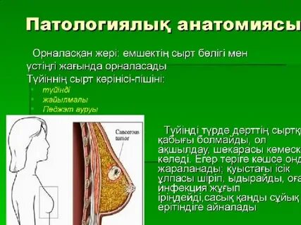 Қыздар мен секс туралы бейнеклиптер