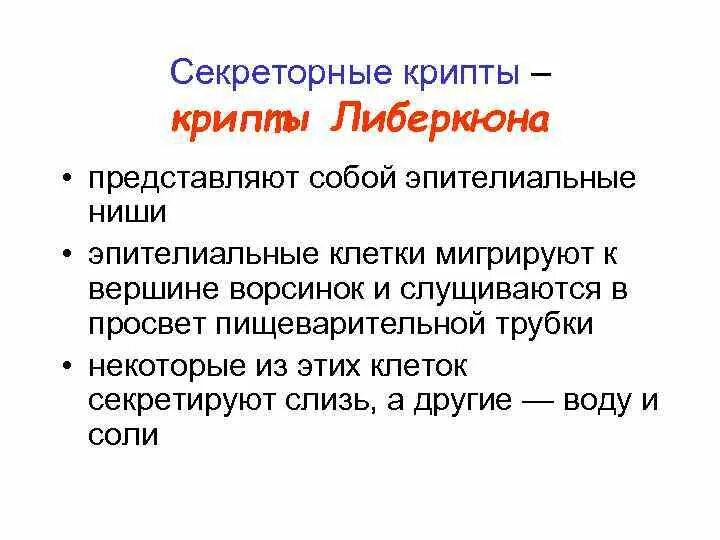 Крипта значение